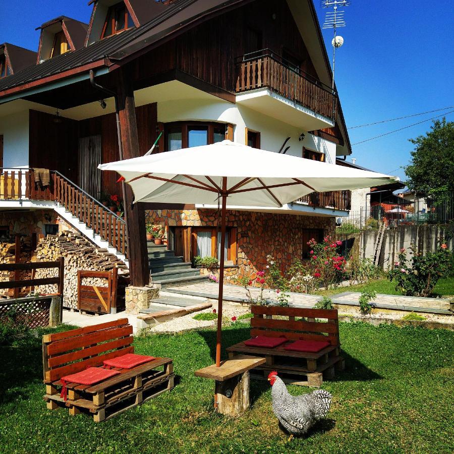 La Rocca Bianca Bed and Breakfast Demonte Εξωτερικό φωτογραφία